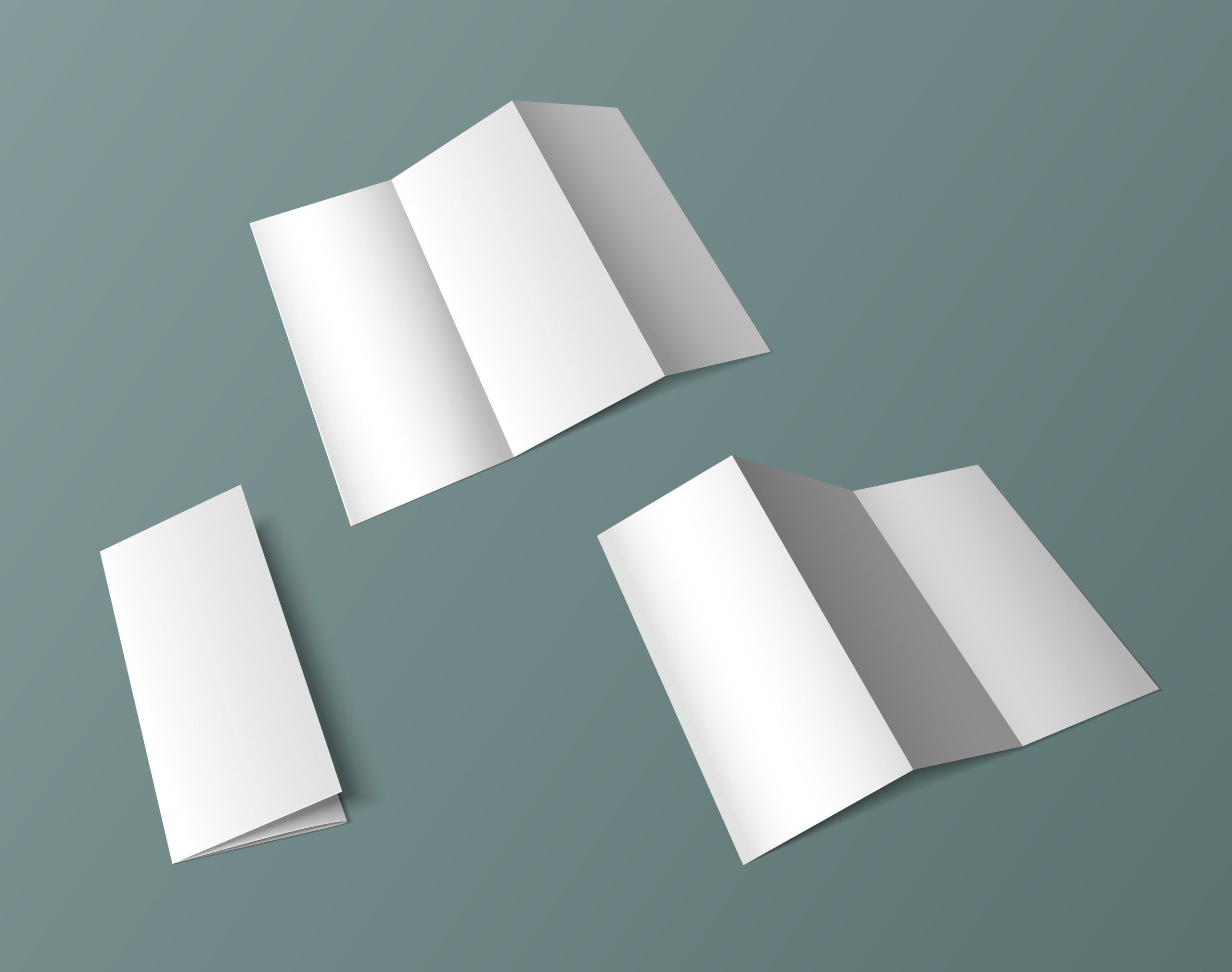 Tri fold brochure folded into three panels